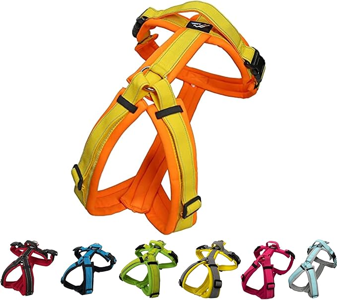 [白山:Hakusan] Zero Dog Harness Made by Japan, Safe - No chocking/Hard to Disconnect, Great fit - Easy Put on and Off/Adjustable, Reflector, XXS - Small & Medium Dog, Two-Tone Orange×Yellow