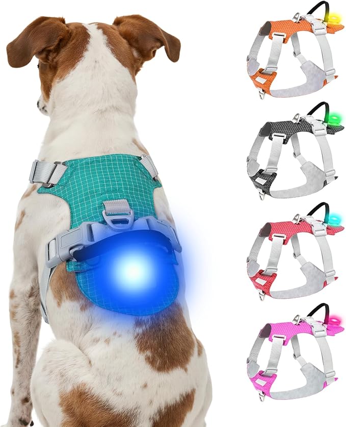 Joytale Lightweight Light Up Dog Harness, Rechargeable No-Pull LED Dog Harness with Detachable Light Box, Airtag Holder, Adjustable for Night Walking, Running & Everyday Use, Light Blue, S
