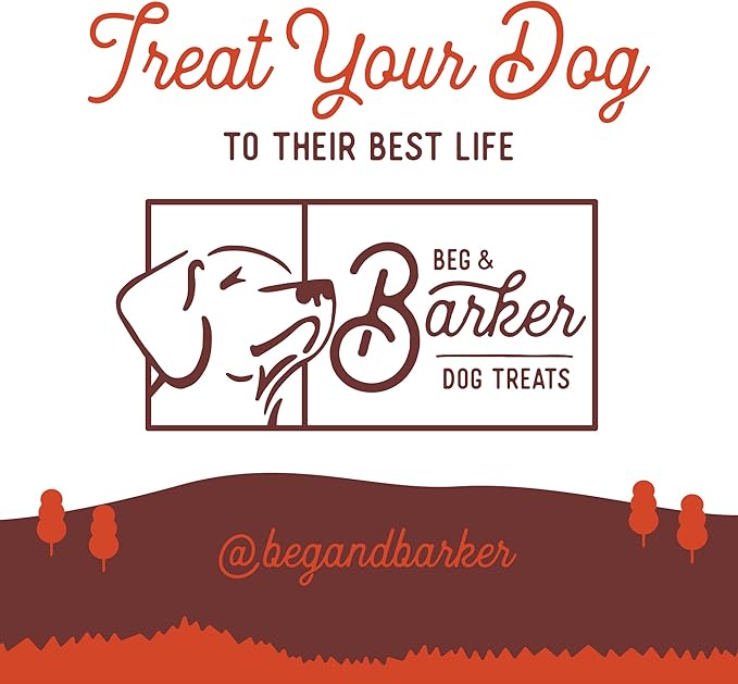 Beg & Barker Pork Jerky for Dogs (4 oz, Pack of 1) - Dog Training Treats - Natural Dog Treats Made in The USA - Grain Free, Diabetic-Friendly, High Protein, Sugar-Free (Pork Dog Jerky)