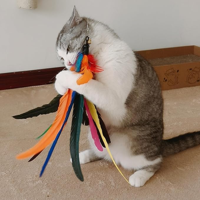 Da Bird Feather Refill - 2 Extra-Large Natural Replacement Attachments(13.8inch) and 4 Feather Toys Refills(5.8inch) for Indoor Cats,Cat Wand Attachment (6PCS)