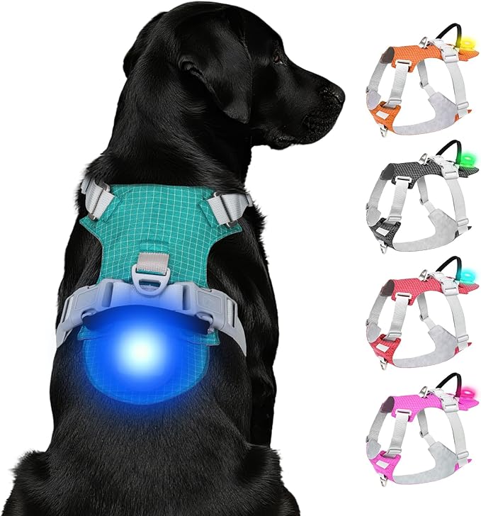 Joytale Lightweight Light Up Dog Harness, Rechargeable No-Pull LED Dog Harness with Detachable Light Box, Airtag Holder, Adjustable for Night Walking, Running & Everyday Use, Light Blue, L