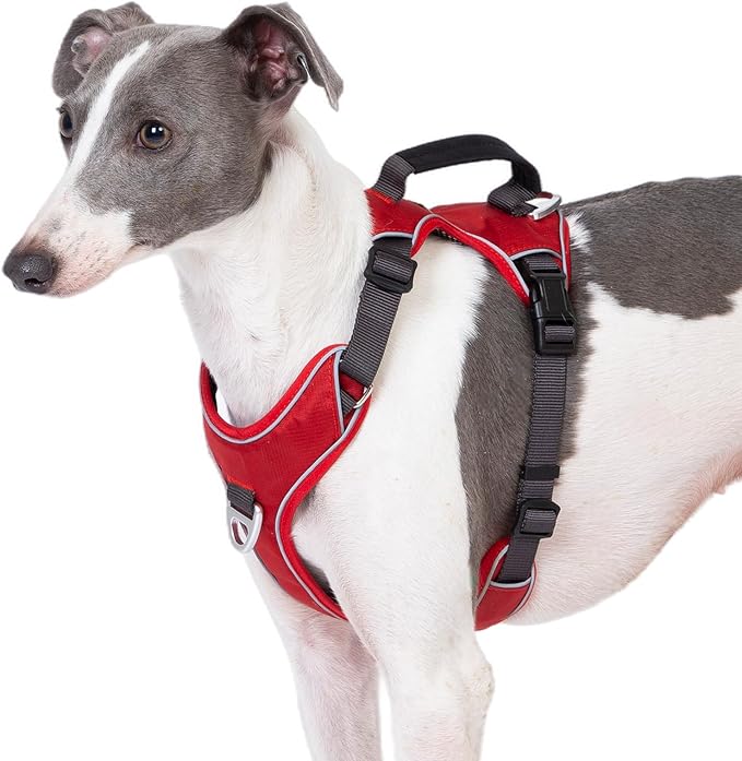 No Pull Dog Harness with 2 Leash Clips, Reflective Vest, Adjustable and Padded, Easy Walk Front/Back Clips (Red, X-Small)