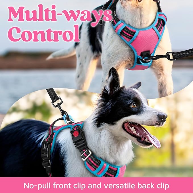 rabbitgoo Dog Harness for Large Dogs, No Pull Pet Vest with 3 Buckles, Adjustable Soft Padded Pet Harness with Easy Control Handle and Reflective Strips, Rose Pink & Blue, L