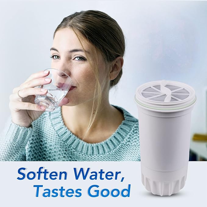 ICEPURE NSF53&42 5-Stage Pitcher Water Filter Replacement for ZERO ZR-001, ZR-003, ZR-017,ZP-007RP, ZD-013W, ZS-011RP, ZD-012RP, Pitchers and Dispensers Replacement [2 Pack]