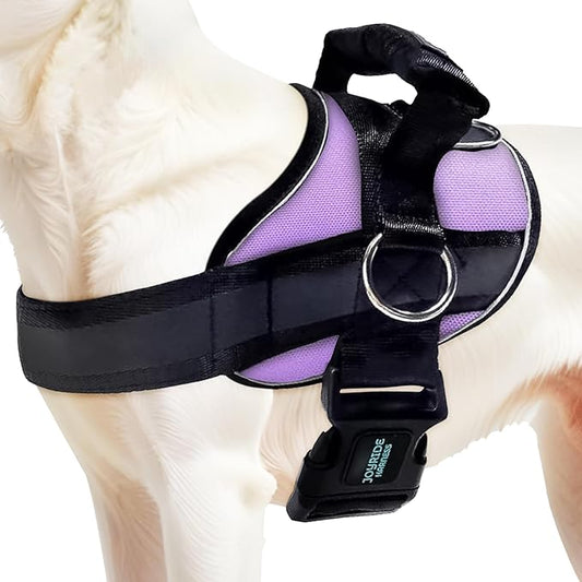 Joyride Harness 2.0 - The Original Side Ring No Pull Dog Harness - No Choke, Escape Proof, Reflective, 3 Leash Clips, Quick Fit Pet Vest - Easy Walks & Training - for Small, Medium & Large Dogs