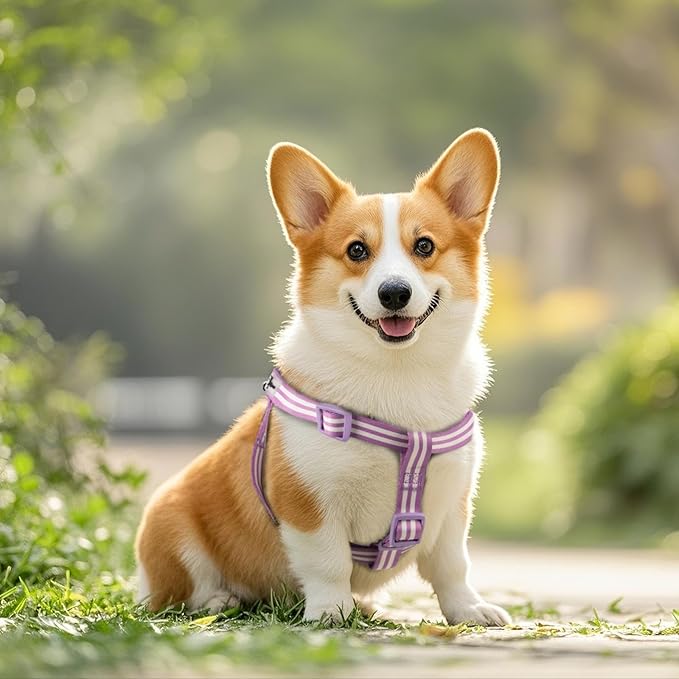 Stripe Step in Dog Harness for Small Dogs, Freedom Nylon Dog Halter Vests, Lightweight and Escape Proof Puppy Harness, Quick Fits for Small Medium and Large Dogs, Purple L