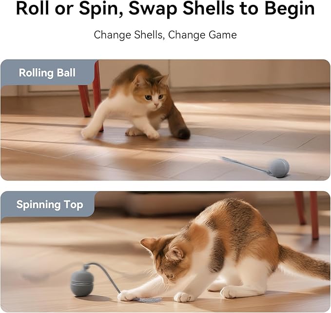 Cheerble Interactive Cat Toys for Indoor Cats - Wicked Ball Duo 2 Automatic Cat Toy with Dual Interchangeable Shells, Electronic Pet Toy with Bird Chirping Sounds, Rolling Cat Toy for Kittens, Blue