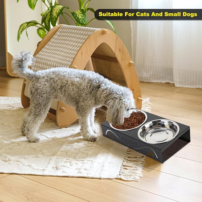 Elevated Cat Bowls 5° Tilted Raised Pet Food Water Bowl Set, 2 Thick Stainless Steel 13.5 oz Cat Dishes Feeder Shallow Wide Cute Whisker Friendly for Indoor Kitten, Small Dogs, Puppy,Black