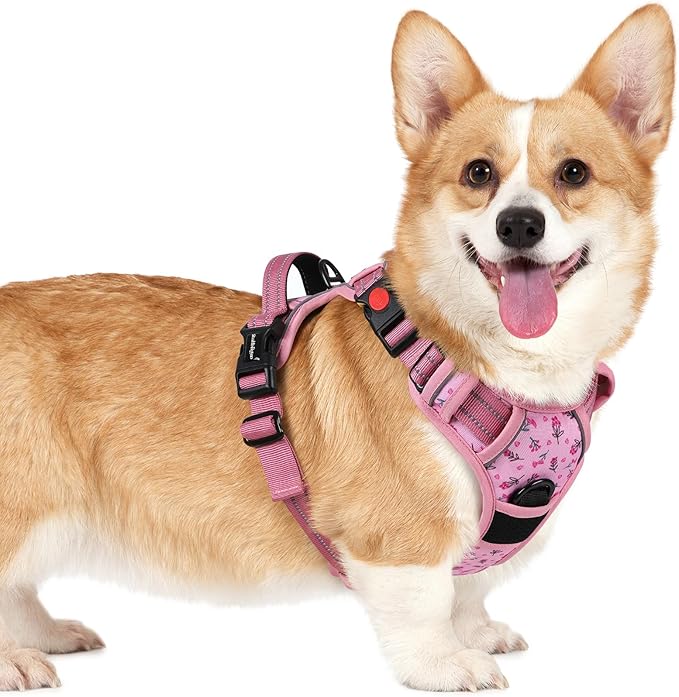rabbitgoo Dog Harness Small Sized, No Pull Pet Harness with 3 Buckles, Adjustable Soft Padded Vest with Control Handle, Walking Reflective Pet Vest for Small Dogs, Floral Pink, S