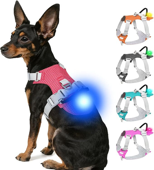 Joytale Lightweight Light Up Dog Harness, Rechargeable No-Pull LED Dog Harness with Detachable Light Box, Airtag Holder, Adjustable for Night Walking, Running & Everyday Use, Red, XS