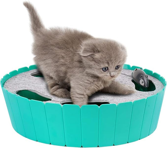 Pawaboo Interactive Cat Toy With Running Mouse, Electronic Motion Automatic Teaser for Indoor Cats, Pop and Play Hide Seek Hunting Mouse for Pet Kitten Play Fun Exercise, Lake Blue