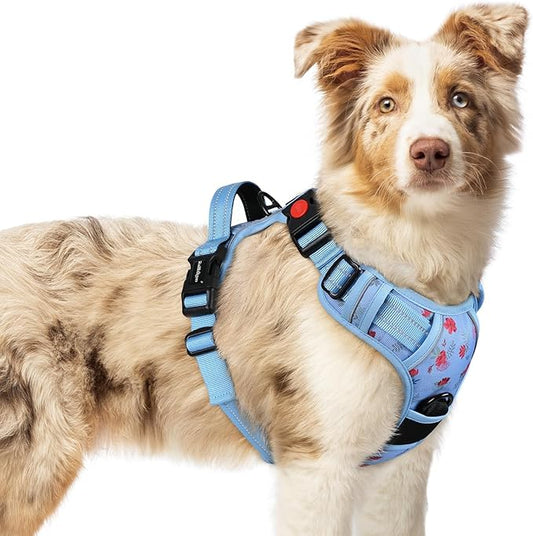 rabbitgoo Dog Harness Medium Sized, No Pull Pet Harness with 3 Buckles, Adjustable Soft Padded Vest with Control Handle, Walking Reflective Pet Vest for Medium Dogs, Floral Blue, M