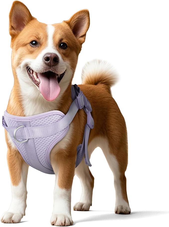Wisedog Mesh Breathable Dog Harness: No Pull Harness with 3 Fast-Release Buckles Adjustable for Walking & Training for Small Medium Large Dogs (Lilac, L: Neck=20"-25"/Chest=17"-33")