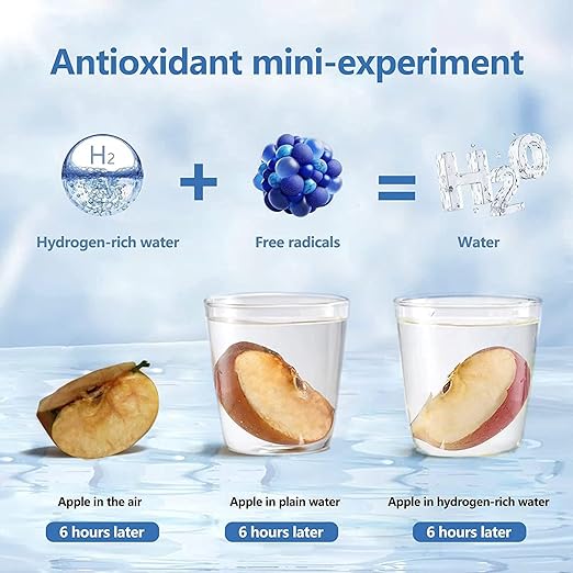 Hydrogen Water Bottle Portable, Hydrogen Water Bottle Generator with PEM SPE Technology, Hydrogen Water Ionizer Machine for Exercise Home Office Travel (Silver)