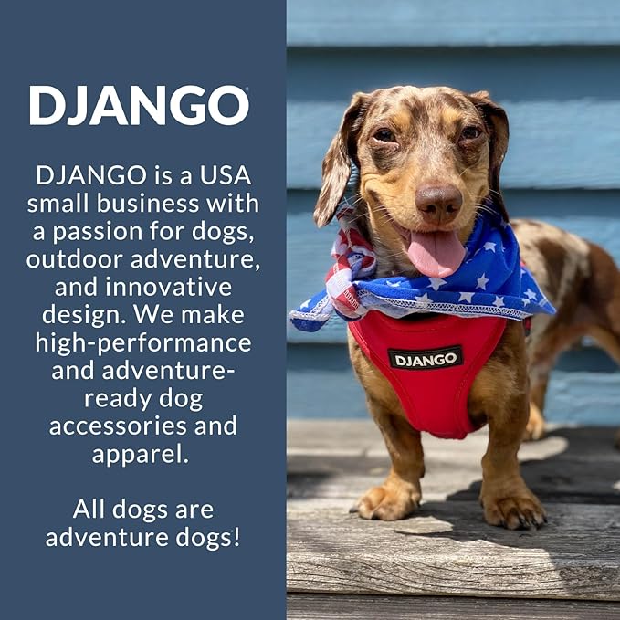 DJANGO Adventure Dog Harness - Stylish Small Dog Harness for Outdoor Adventures and Everyday Wear - Dandelion Yellow Neoprene Adjustable Harness for Dogs with Reflective Piping and Solid Brass D-Ring