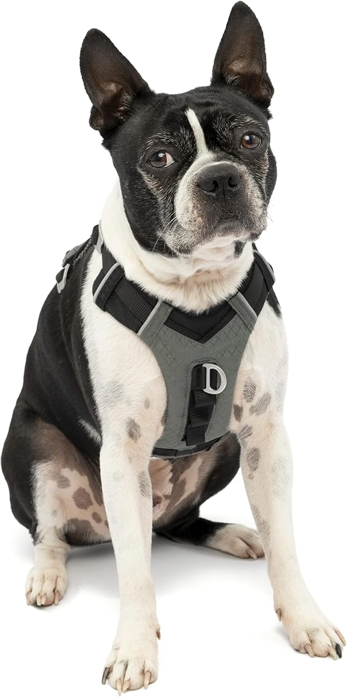 Kurgo Journey Air Dog Harness - Secure Fit for Active Dogs - Padded Chest - Lightweight Ripstop Fabric - Breathable Mesh - Reflective Trim - Back Assist Handle - Black - X-Small