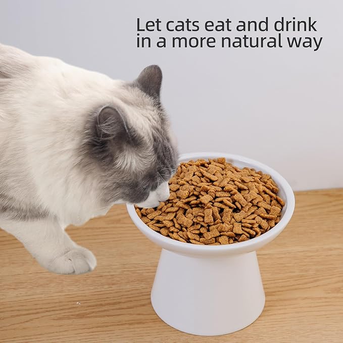 6.2 Inch Extra Wide Elevated Ceramic Cat Bowls, Food and Water Bowl Set for Elder Big Cats Small Dogs, Raised Design for Pet Easy Eating, Protect Cat's Spine Set of 2(White)