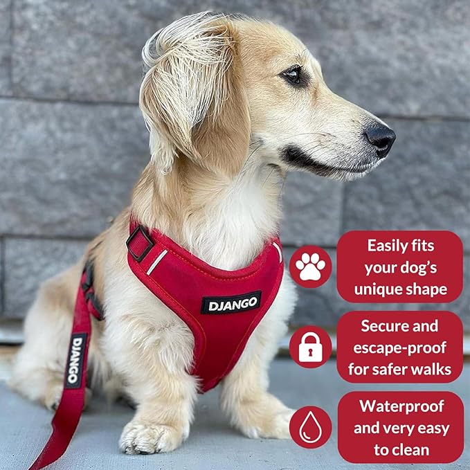 DJANGO Adventure Dog Harness - Stylish and Durable Large Dog Harness for Outdoor Adventures and Everyday Wear - Red Neoprene Adjustable Harness for Dogs with Reflective Piping, Solid Brass D-Ring