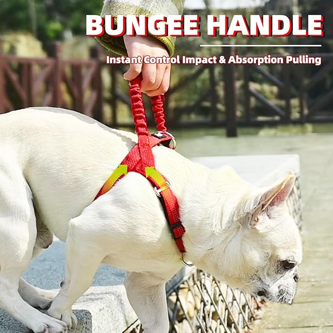 PUPTECK No Pull Dog Harness Small Sized Dog, Adjustable Reflective Pet Vest Harness with Bungee Handle, Escape Proof No Choke Harness for Small Dogs Walking Training, Red S