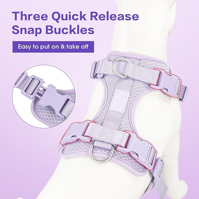 Wisedog Mesh Breathable Dog Harness: No Pull Harness with 3 Fast-Release Buckles Adjustable for Walking & Training for Small Medium Large Dogs (Lilac, S: Neck=14"-19"/Chest=13"-24")