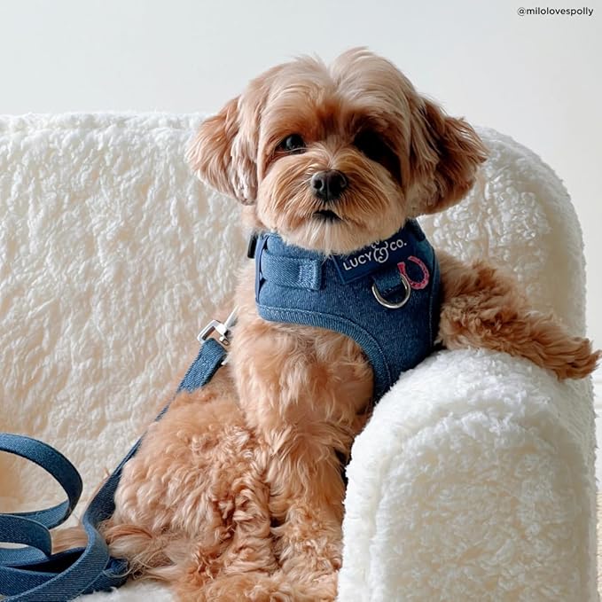 Lucy & Co. The Cute to Boot No-Pull Dog Harness for Dogs – Vest to Stop Pulling & Walk Easy – Comfortable Leash Training Product w/Adjustable Chest & Neck Straps - Demin Cowgirl - Small