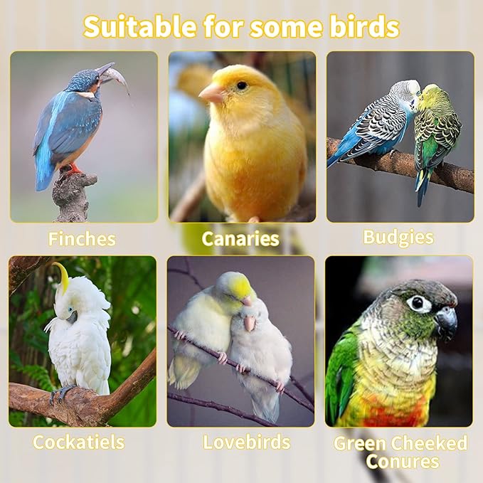 Hamiledyi Bird Perch for Cage Parakeet Stand Bird Cage Accessories Natural Wood Perch 5 Piece Set for Birds Platform Stick Playground for Small and Medium Sized Birds Cockatiel Parrot Conure