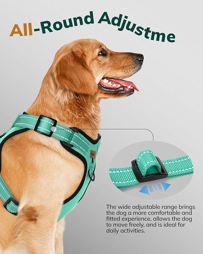 MIDOG No-Pull Dog Harness | Adjustable & Reflective Pet Harness Leash Set for Small Medium Large Dogs Walking, Training| No Choke, Front Clip, Soft Padded Vest with Easy Control Handle - Green, XL