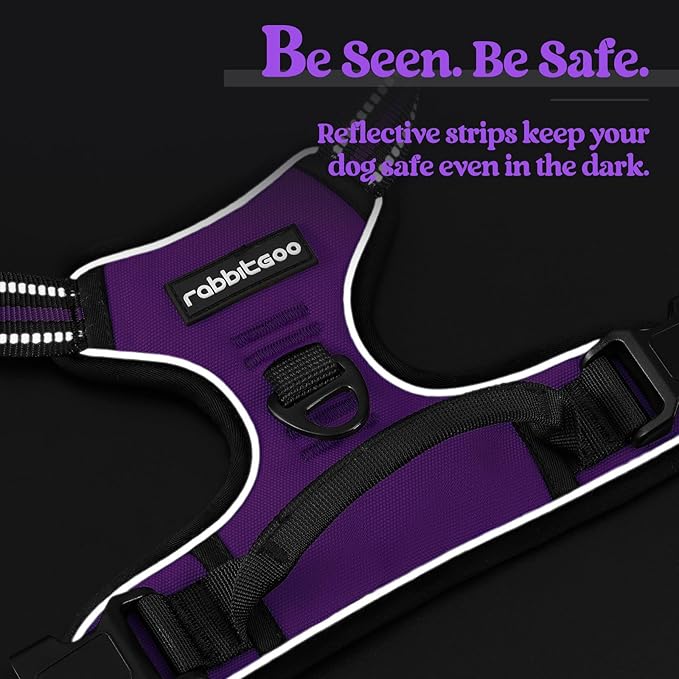 rabbitgoo Dog Harness No Pull with 2 Leash Clips, Adjustable Soft Padded, Reflective Oxford No Choke Pet Vest with Easy Control Handle for Medium Sized Dogs, Purple, M