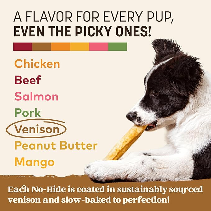 Earth Animal No Hide Medium Venison Flavored Natural Rawhide Free Dog Chews Long Lasting Chew Sticks | Treats for Large Dogs | Great for Aggressive Chewers - 6 Count