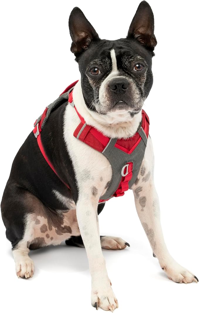 Kurgo Journey Air Dog Harness - Secure Fit for Active Dogs - Padded Chest - Lightweight Ripstop Fabric - Breathable Mesh - Reflective Trim - Back Assist Handle - Red - Small