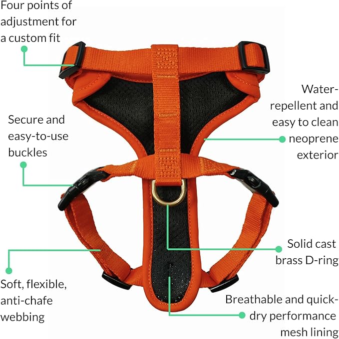 DJANGO Adventure Dog Harness - Stylish, & Durable Medium Dog Harness for Outdoor Adventures and Everyday Wear - Sunset Orange Neoprene Adjustable Harness for Dogs with Reflective Piping & Brass D-ring