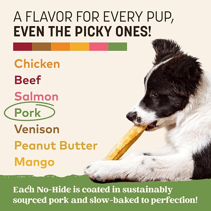 Earth Animal No Hide Medium Pork Flavored Natural Rawhide Free Dog Chews Long Lasting Chew Sticks | Treats for Large Dogs | Great for Aggressive Chewers - 6 Count