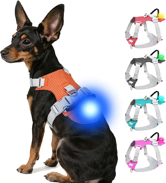 Joytale Lightweight Light Up Dog Harness, Rechargeable No-Pull LED Dog Harness with Detachable Light Box, Airtag Holder, Adjustable for Night Walking, Running & Everyday Use, Orange, XS