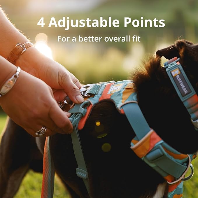 Ruffwear, Front Range Dog Harness, Reflective Soft Padded Everyday Harness with Dual Leash Clips, Adjustable and Lightweight Fit for Training or Walking for All Dogs, Coastal Mountains, Small