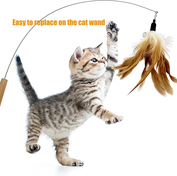 Cat Feather Toys Refill, 16 Pieces Cat Wand Replacement Feathers Toy for Indoor Cats