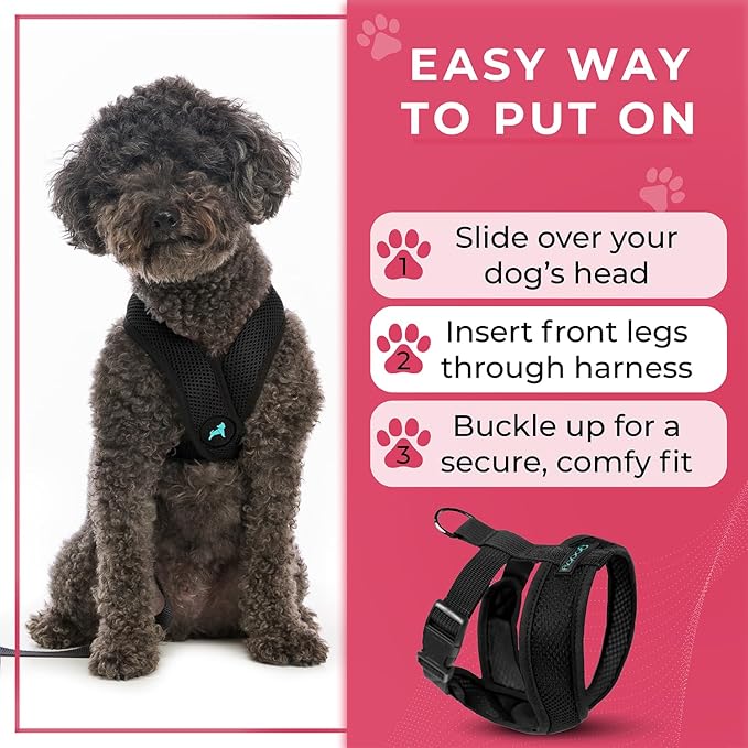 Gooby Comfort X Head in Harness - Black, Small - No Pull Dog Harness, Patented Choke-Free X Frame - Perfect on The Go Dog Harness for Medium Dogs No Pull or Small Dogs for Indoor and Outdoor Use