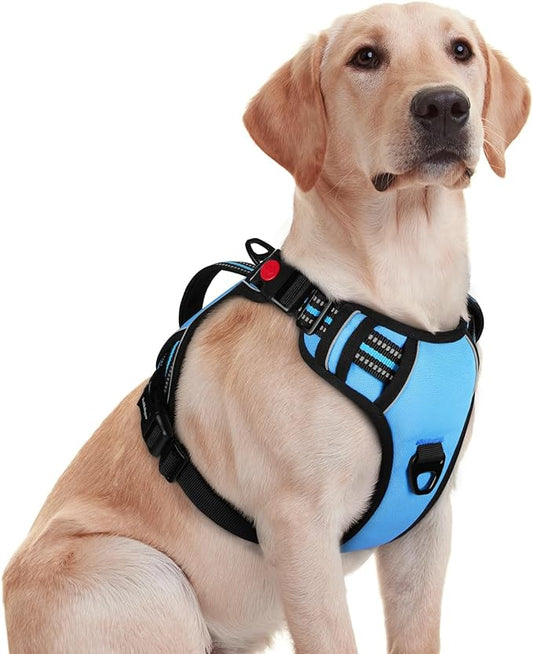 rabbitgoo Dog Harness Medium Sized, No Pull Pet Harness with Soft Padded Handle, Adjustable Reflective Vest with 3 Buckles, Easy Walking Harness with 2 Leash Clips, Light Blue, M