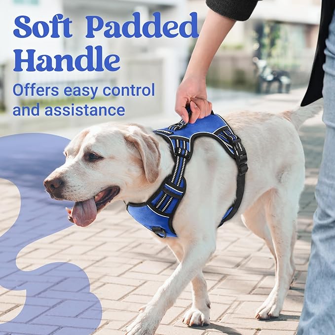 rabbitgoo Dog Harness for Large Dogs, No Pull Pet Harness with Soft Padded Handle, Adjustable Reflective Vest with 3 Buckles, Easy Walking Harness with 2 Leash Clips, Blue, L