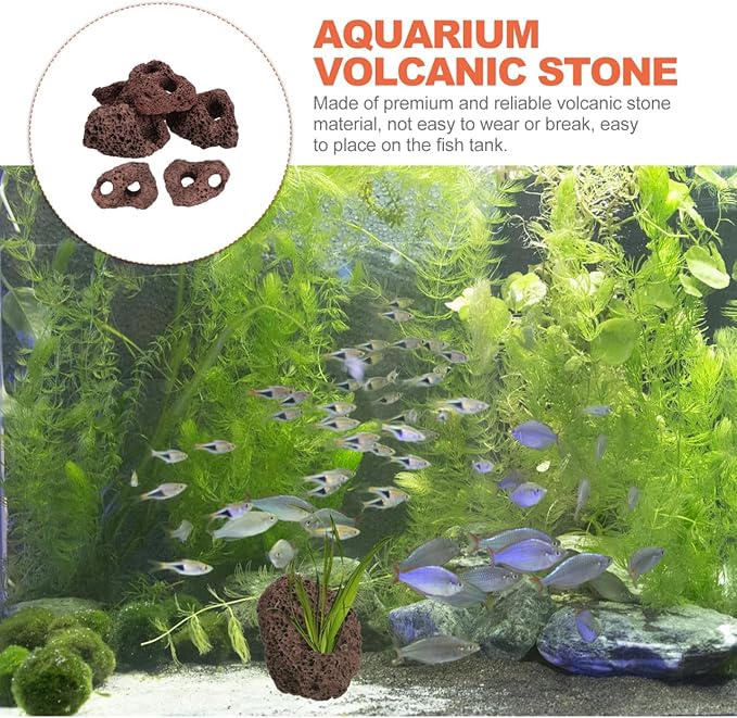 Housoutil Lava Rock Aquarium, 6PCS Aquarium Volcanic Stone Plant Fixer Ornaments, Double-Hole Fish Tank Rocks Ornament for Aquascaping, Fish Tank, Terrarium and Landscape Design