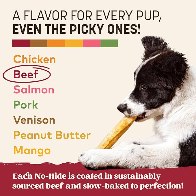 Earth Animal No Hide Medium Beef Flavored Natural Rawhide Free Dog Chews Long Lasting Chew Sticks | Treats for Large Dogs | Great for Aggressive Chewers - 6 Count