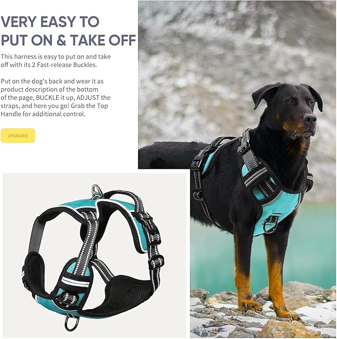 HEELE Dog Harness, No Pull Adjustable Padded Reflective Harness for Small Medium Large Dogs with Handle for Walking Training, Turquoisek, L