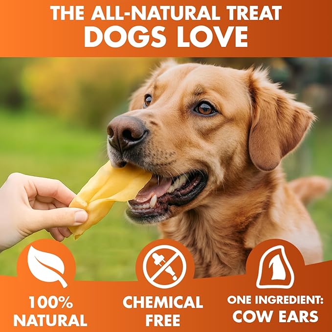 Cow Ears for Dogs – Whole Ears 100 ct, Thick Cut, Grass-Fed Angus Beef, All-Natural No-Rawhide Dog Treat Alternative