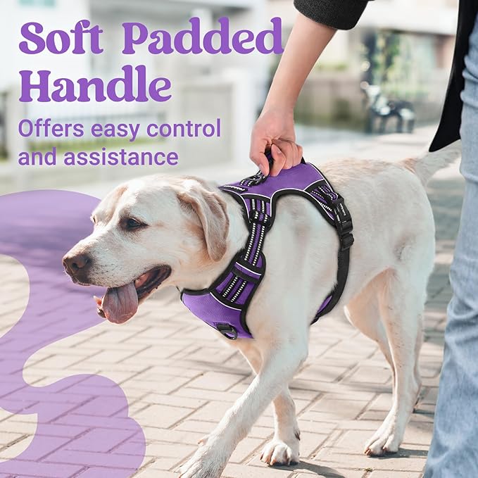 rabbitgoo Dog Harness for Large Dogs, No Pull Pet Harness with Soft Padded Handle, Adjustable Reflective Vest with 3 Buckles, Easy Walking Harness with 2 Leash Clips, Purple, L