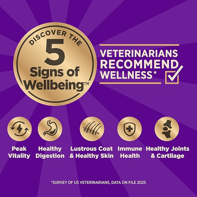 Wellness CORE+ (Formerly RawRev) Dry Dog Food with Freeze Dried Pieces, Wholesome Grains, High Protein, Natural, Beef & Barley Recipe, (4-Pound Bag)