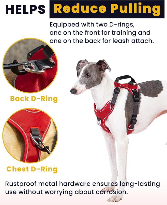 No Pull Dog Harness with Back Control Handle Medium Sized, Reflective Vest, Adjustable and Padded, Easy Walker Front/Back Clips (Red, Medium)
