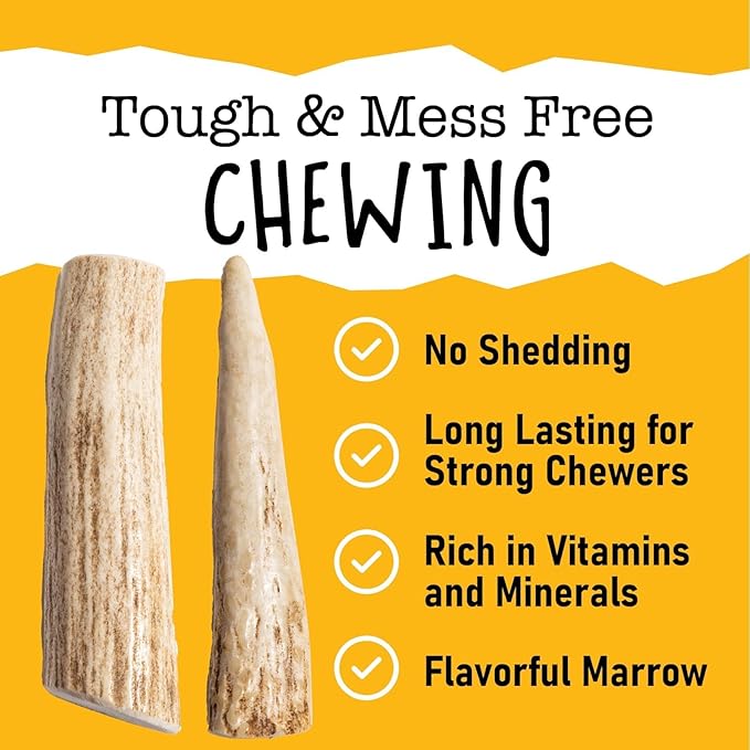 Snatchers Elk Antlers for Dogs – Long Lasting Dog Chews and Dog Toys for Aggressive Chewers, Naturally Shed Deer Antlers for Dogs Processed in The USA, No Additives (Large, 7-8", 1 Count)