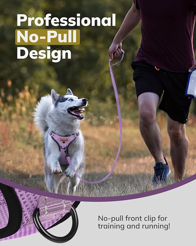 MIDOG No-Pull Dog Harness | Adjustable & Reflective Pet Harness Leash Set for Small Medium Large Dogs Walking, Training| No Choke, Front Clip, Soft Padded Vest with Easy Control Handle - Purple, M