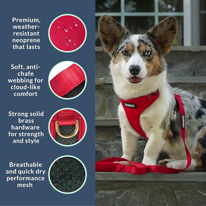 DJANGO Adventure Dog Harness - Stylish and Durable Medium Dog Harness for Outdoor Adventures and Everyday Wear - Red Neoprene Adjustable Harness for Dogs with Reflective Piping, Solid Brass D-Ring