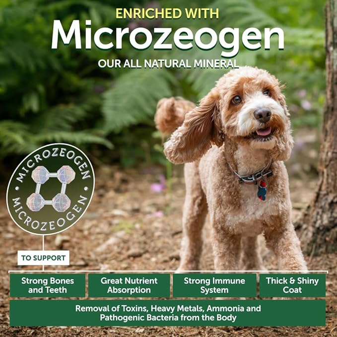 Nature's Protection Small Breed Dry Dog Food - High Protein, Grain Free, Natural Tear Stain Diet - Small Bites Dry Dog Kibble for Adult Dogs with Red Fur (Superior Care - Lamb, 22 lb)