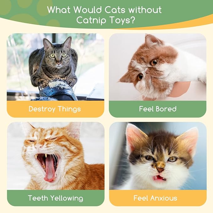 Nobleza Catnip Toys, 5Pcs Cat Chew Toys for Indoor Cats Clearance, Cute Animal Shapes Plush Kitty Teething Toys with Crinkle Paper for Pet Birthday, Interactive Kitten Kicker Toy with Organic Cat Nip